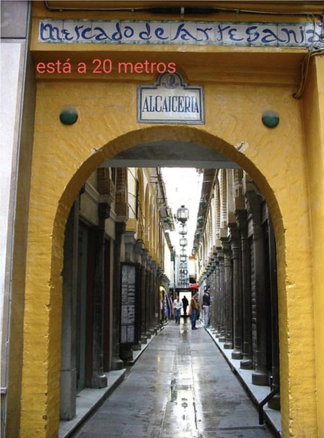 En El Corazon De Apartment Granada